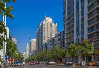 数显式磁力搅拌器厂家直销