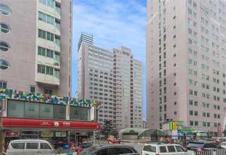 合肥美国阿尔法锡丝厂家哪家好